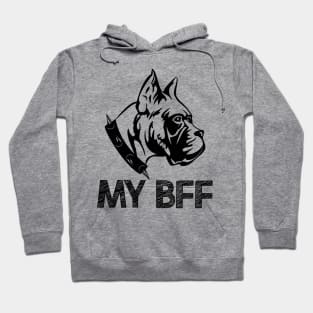 Yorkshire terrier is my best friend forever Hoodie